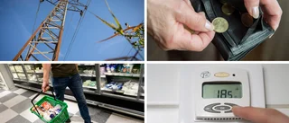 Pressträff om högkostnadskydd för höga elpriser – läs mer om Svenska Kraftnäts förslag till åtgärd här