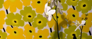 Marimekko höjer finansiella mål