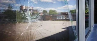 Vandalism för miljoner