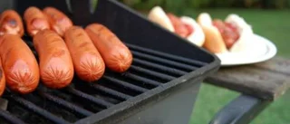 Flamskyddsmedel i sommarens grillkorv