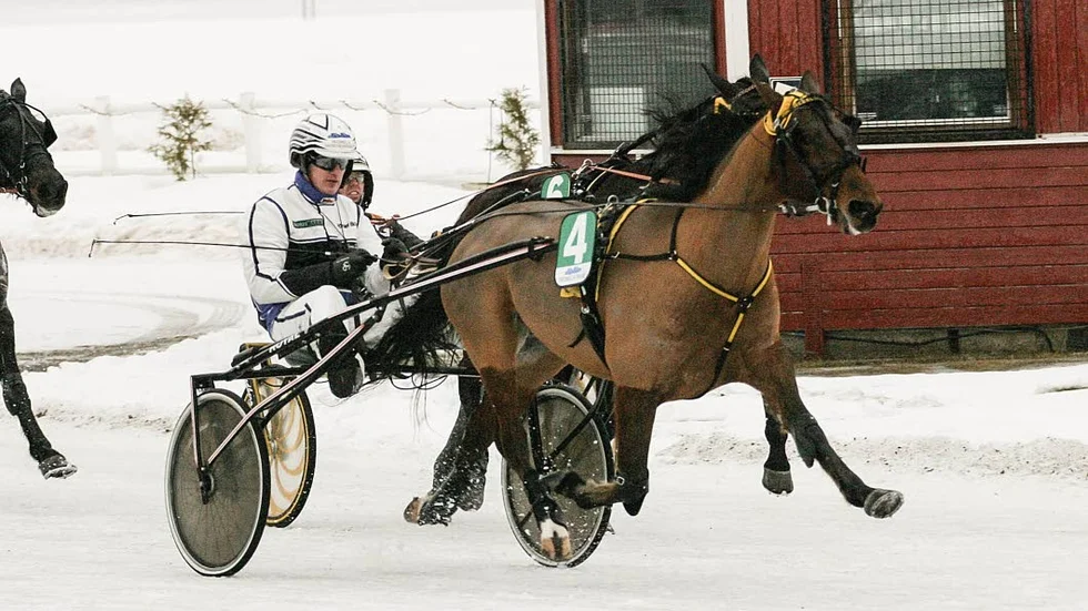 ccelerate är en liten knatte men segerviljan är det inget fel på, sade Bodenproffset Jorma Särkiniva efter segern i V4-4.