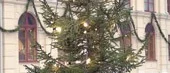 <I>Norrköping runt:</I>
Snyggaste kommungranen vid Arbis