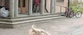 Tystnad, fraser och pauser hos Fosse