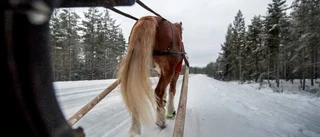 Får man verkligen rida på gångvägen?