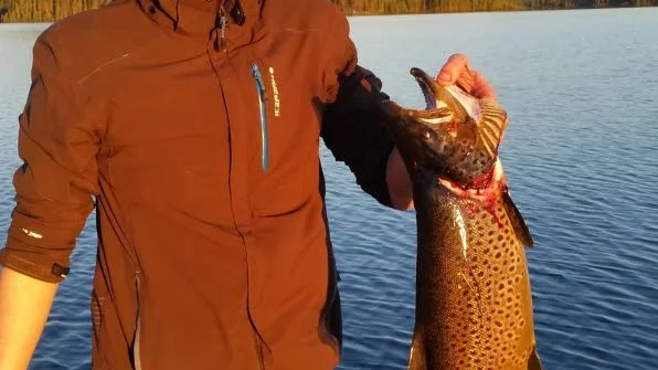 Erik Öhman, Piteå, fick en drömöring på 4,74 kilo. Men inte nog med det, när vinnaren av fiskeresan drogs så stod det Erik Öhman på talongen. För andra gången! Han vann nämligen 2007 också.