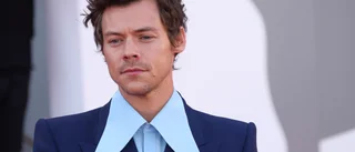 Harry Styles förnekar att han spottade på Pine