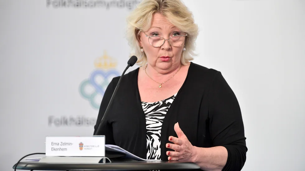 Erna Zelmin-Ekenhem, generaldirektör på Arbetsmiljöverket. Arkivbild.