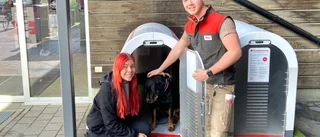 De är först ut i Norrland med tempererade hundparkeringar 