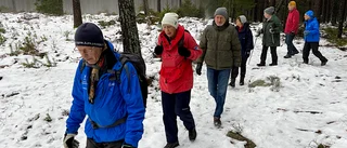 Efterlängtade vandringar har börjat igen