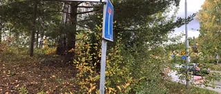 Man dömd till fängelse för mordförsöket på Källmogatan