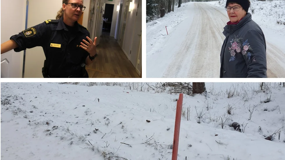"Jag tror att det är buskörning med fara för eget och andras liv", säger Gunnel Laine om de sönderkörda snökäpparna.