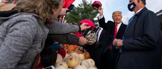 Trumps supportrar tänker lokalt i presidentvalet