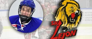 Uppgifter: SK Lejon värvar stor backtalang