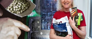 NSD testar vinterodling – hur svårt kan det vara?