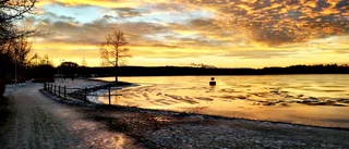 Läsarbilden                   