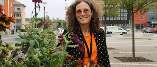 Nu kan Knivstaborna plocka blommor i kommunens rabatter
