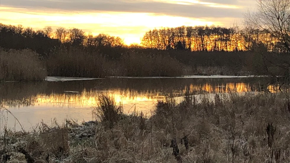 En stadsnära del av Enköping, Enköpingsån som rinner ut i, ja vad heter viken?