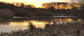 Ouiz: Känner du igen dig i Enköping?
