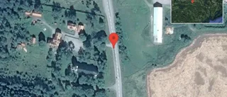 Fallna träd skapar problem i trafiken på väg 53