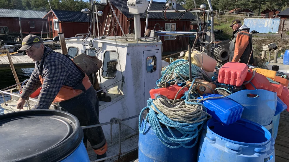 Göran och Tord Pettersson har precis lagt till vid bryggan och en havsörn kretsar nära båten. Något de är vana vid då det finns gott om rovfåglar i området.
