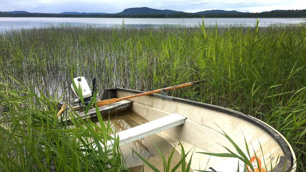 Båten i Vistträsket.