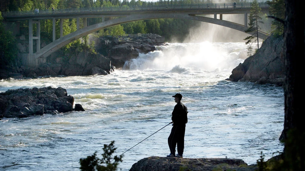 Regeringen måste se värdet av fritt strömmande vatten, skriver företrädare för Världsnaturfonden. Här Jockfall i Kalix älv.