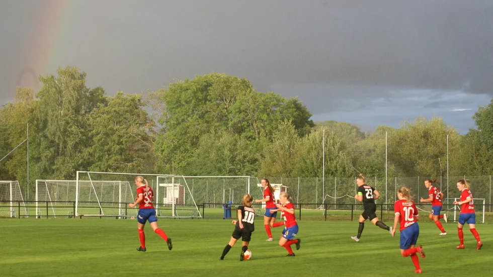 Borens IK växer på bredden och utvecklas på toppen. Därför anställer klubben nu en ny klubbansvarig/marknadsansvarig som ska dra in pengar till större satsningar.