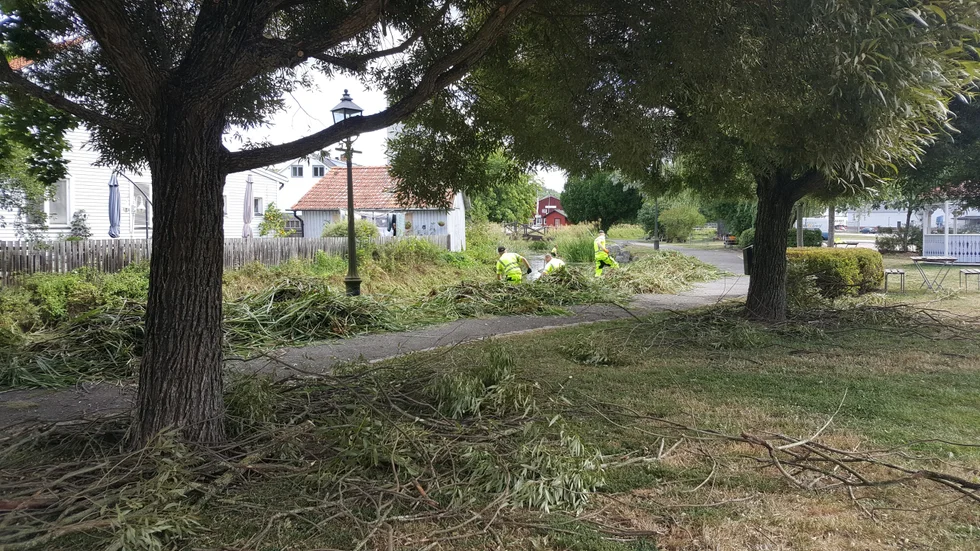 På tisdagen klipptes växtligheten i den del av Gamlebyån som rinner genom Unos park ner.