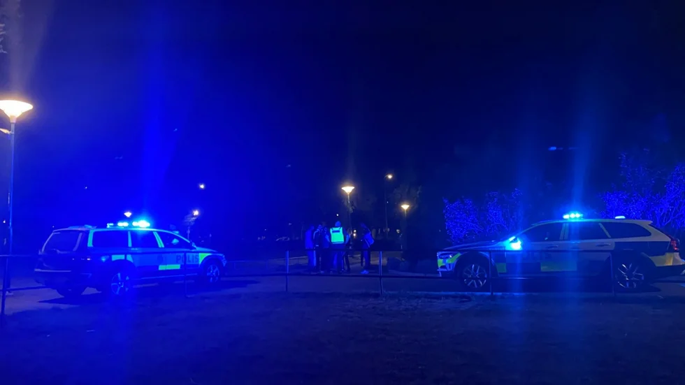 I somras skede det också allvarliga händelser i Vasaparken.