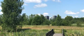 Drömläge för hemmablinda       