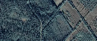 Ny ägare tar över gård i Hakkas