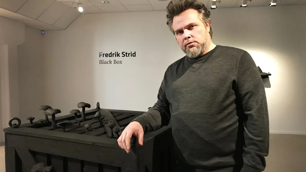 "Jag inspireras av naturvetenskap och hur natur presenteras", berättar konstnären Fredrik Strid. 