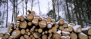 Är hyggesfritt skogsbruk svaret på alla frågor?