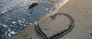 En gammal gute står ensam på stranden