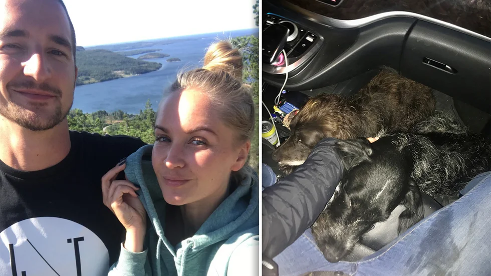 Christofffer Öberg och Marielle Algesjö räddade två hundar från att bli påkörda.
