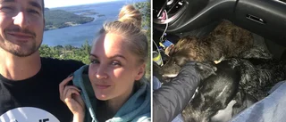 Marielle och Christoffer räddade två hundar från att bli påkörda: "Hade änglavakt"