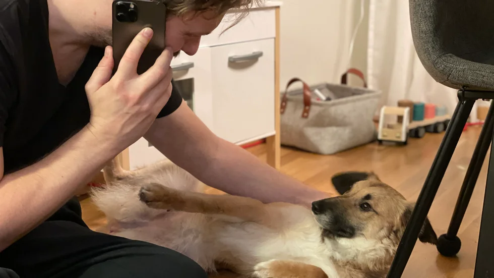 Uppsalabon David Lindström ringde polisen och lyckades spåra hundvalpens ägare.  