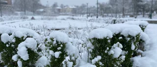 SMHI: Så länge är snön kvar i Vimmerby 