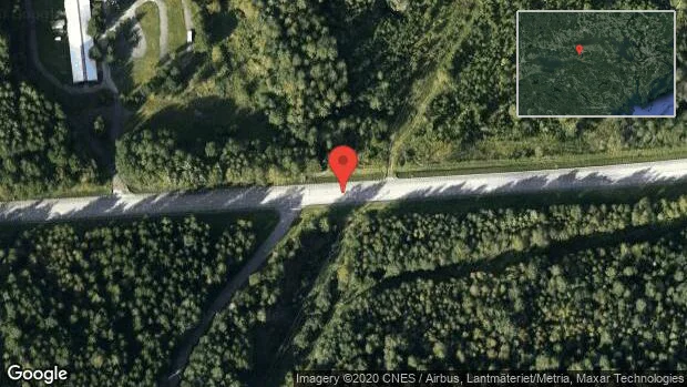 Älg på vägen på väg 230