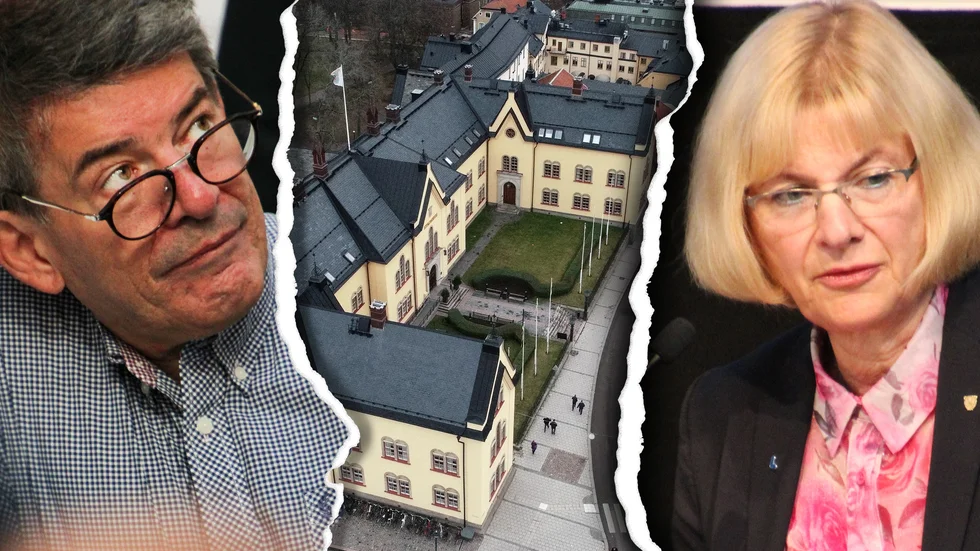 Michael Cocozza, tidigare medlem i Liberalerna, och gruppledare Åsa Wennergren (L) har vitt skilda versioner kring vad som hänt i partiet den senaste tiden.