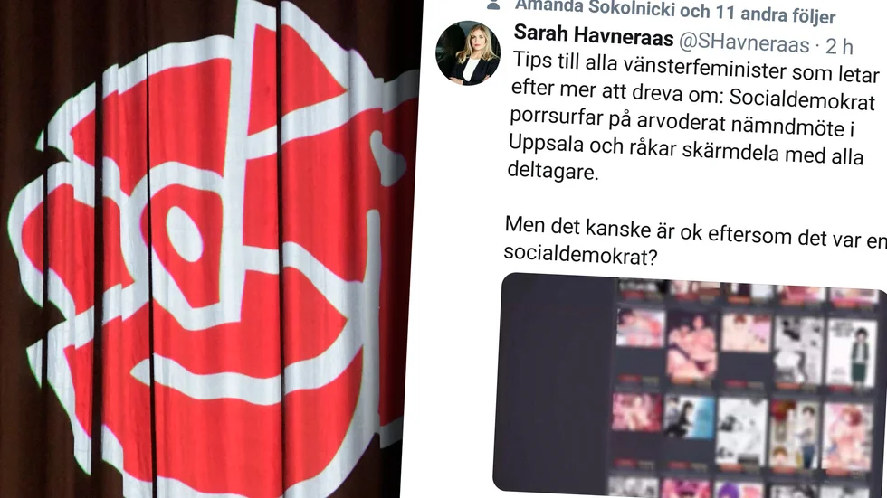 En socialdemokrat i Uppsala delade under ett nämndmöte på torsdagen sin skärm med de andra deltagarna – och visade dem pornografiskt innehåll.