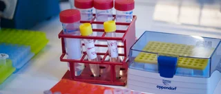 Kapacitet för att kartlägga mutationer dröjer