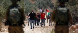 Låt MR vägleda i Israel-Palestina-konflikten