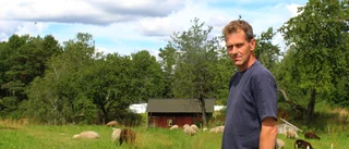 Allt fler vill äta lamm, det här kan vara orsaken