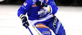 Kalix Bandy vill värva - från värsta rivalen