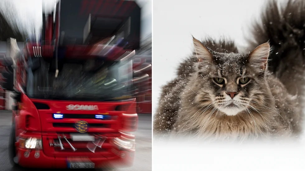 Bilderna är från arkivet har inget med händelsen att göra.