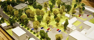 Asylenparkens nybygge kan störa