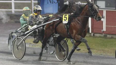 - En bra häst i fin form, konstaterade Petter Lundberg sedan han vunnit V4-1 med amatörtränade Max de Lux.
