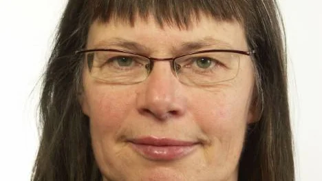 Stina Bergström (MP) fick med sig riksdagen.