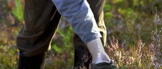 Norrbottenspolisen anmäls till JO